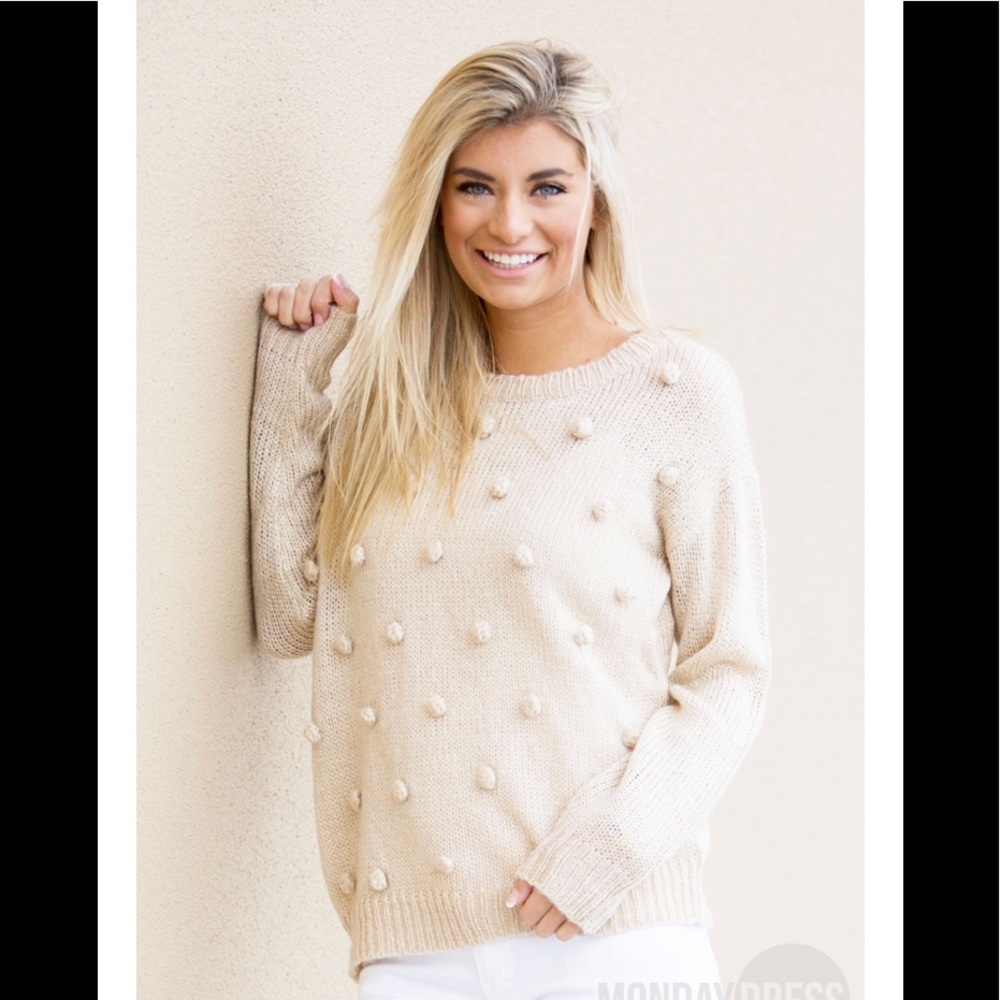 NWT {Marleylilly} Tan Sweater